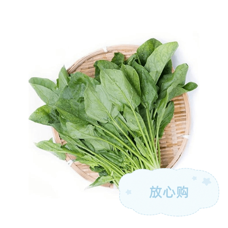 新鲜菠菜 250克/份