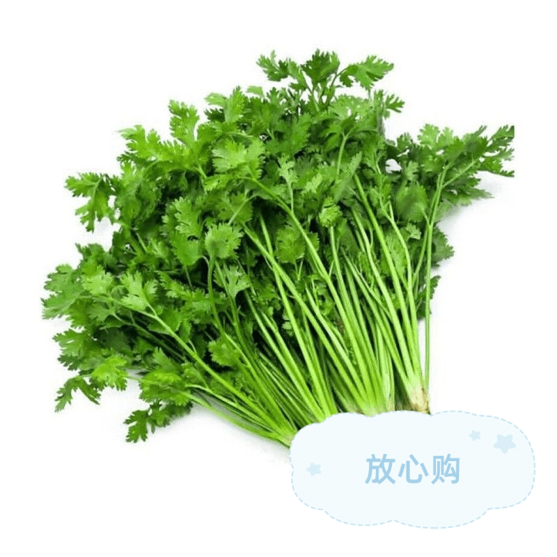 【城市热销】香菜 50g