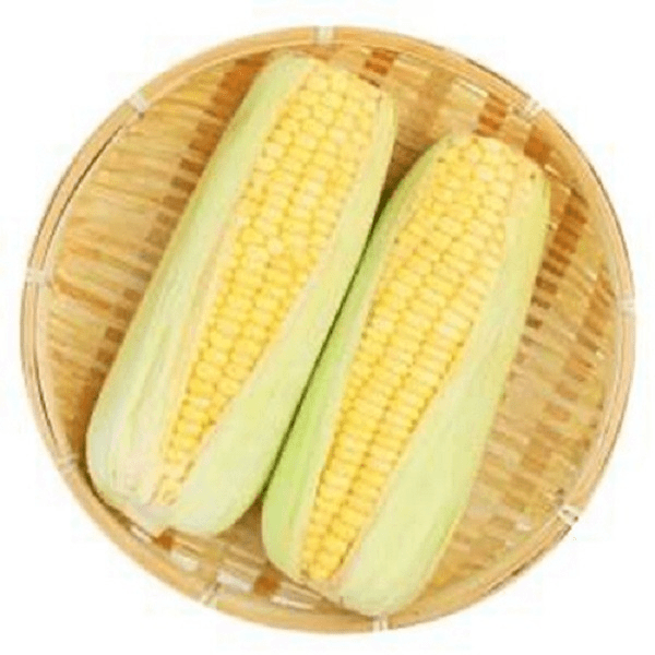 新鲜甜玉米水果玉米一根 300g