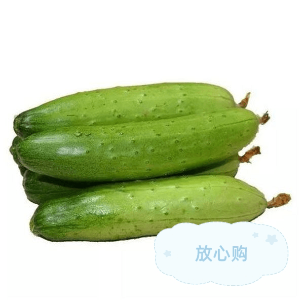 本地黄瓜500g