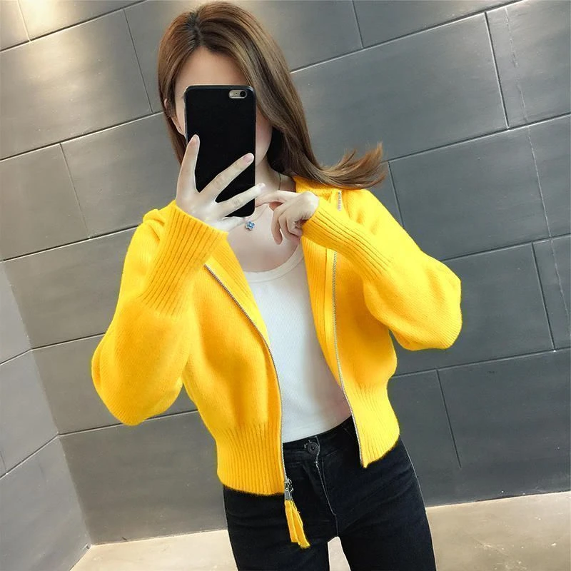 外搭小香风短款高腰链开衫针织外套女装2025年新款春秋毛衣上