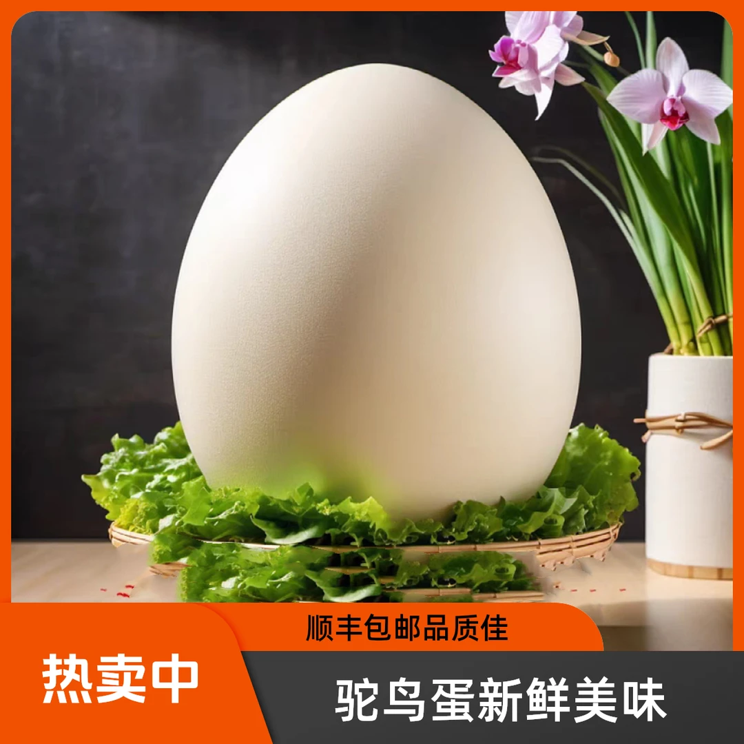 驼鸟蛋新鲜食用大号春节中秋端午送礼盒营养丰富破损包赔送货上门