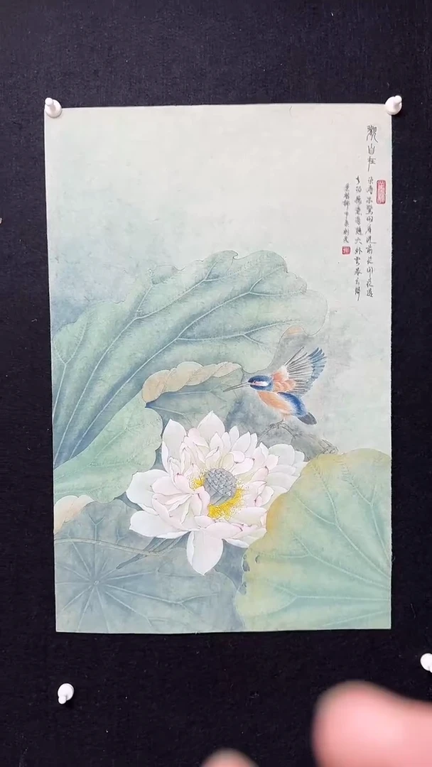 【闪购商品】绘画工笔花鸟观自在