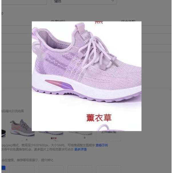 【胜华优选】女士网鞋~软底养脚休闲网鞋-F10
