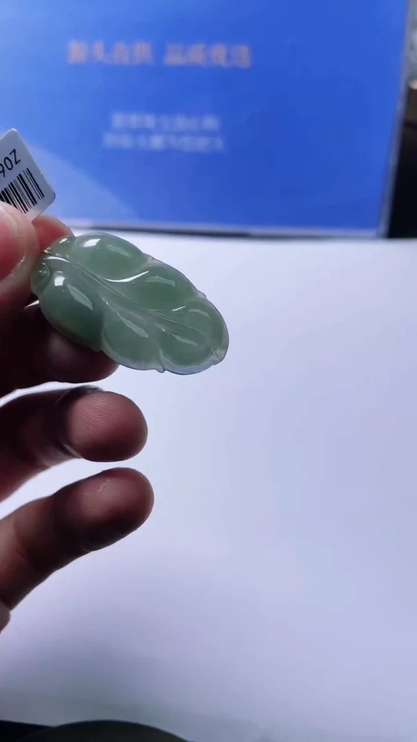 【闪购商品】翡翠颈饰未镶嵌吊坠