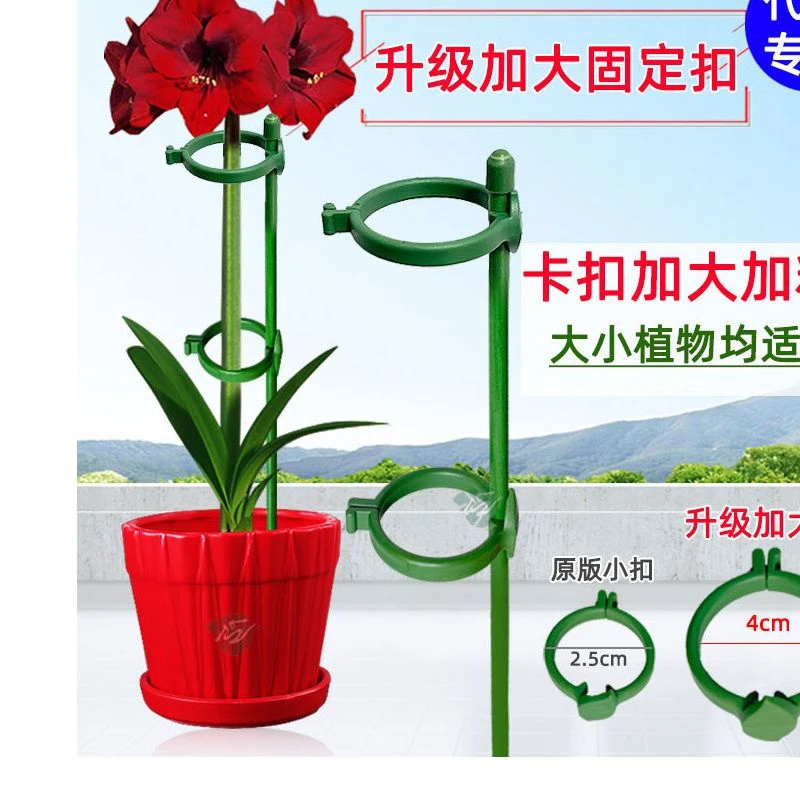 植物固定防倒伏花架子园艺支撑单杆室外花园月季爬藤绣球撑花支架