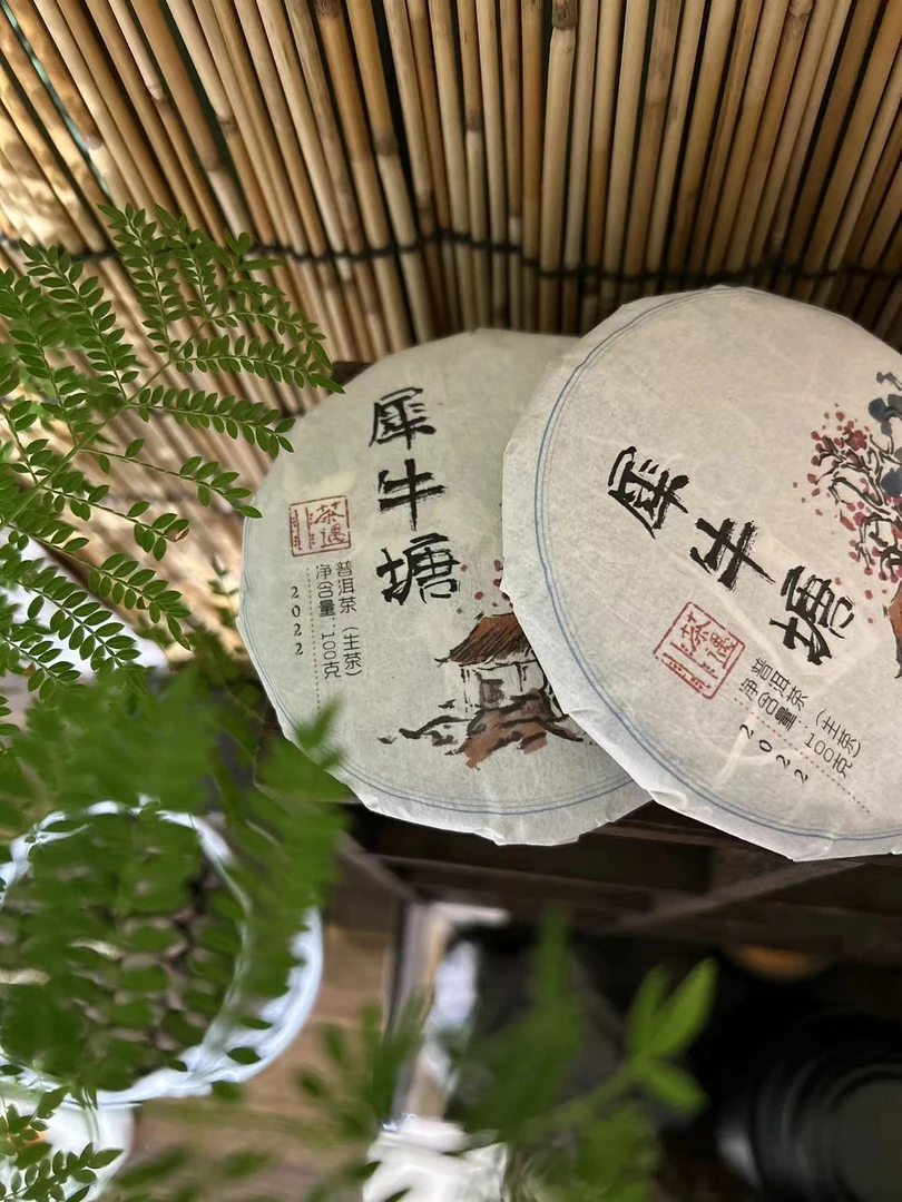【帕沙犀牛塘混采】2022性价比超高-普洱生茶100克饼茶