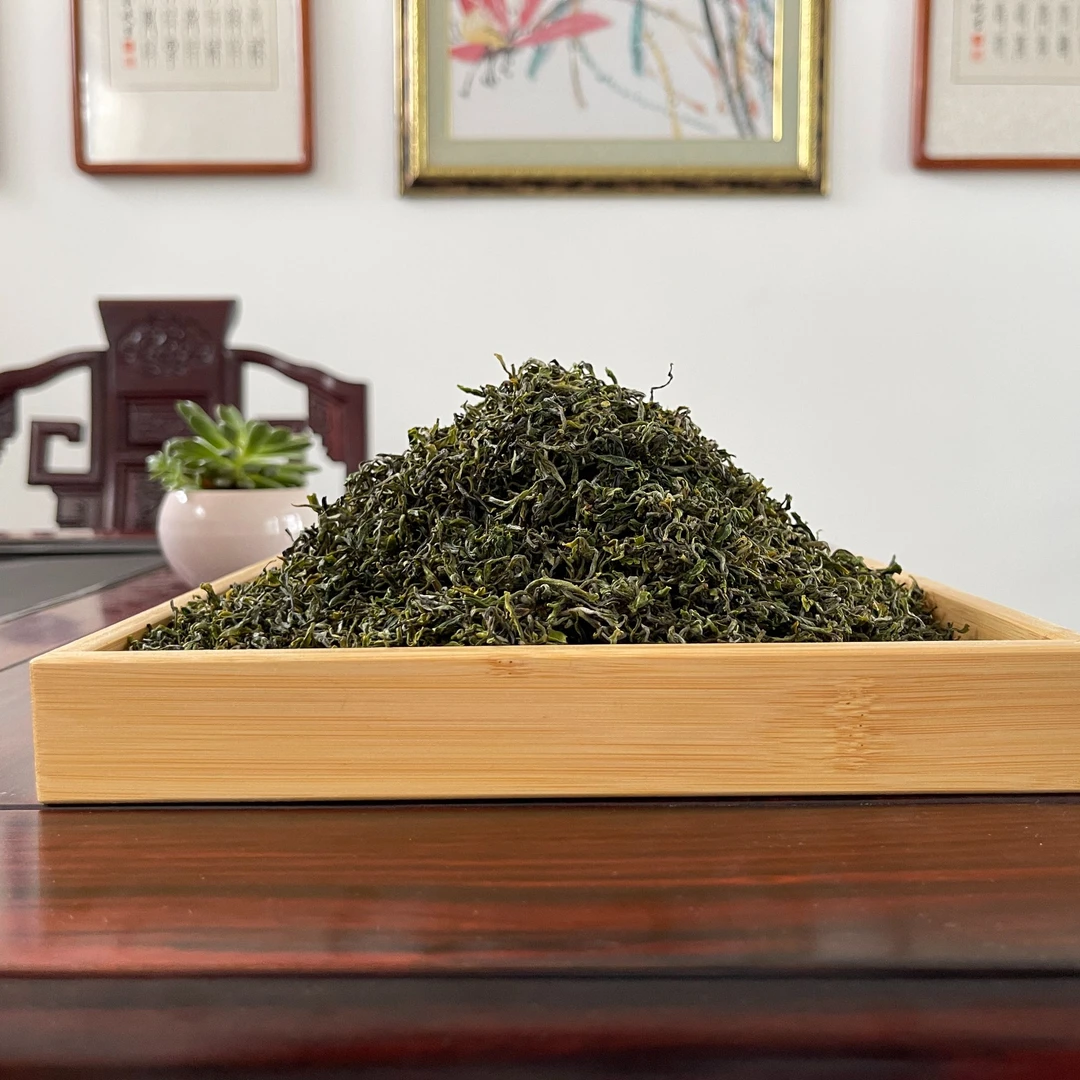 曼瑞春日照绿茶生态茶2025头采春茶4月18号炒制