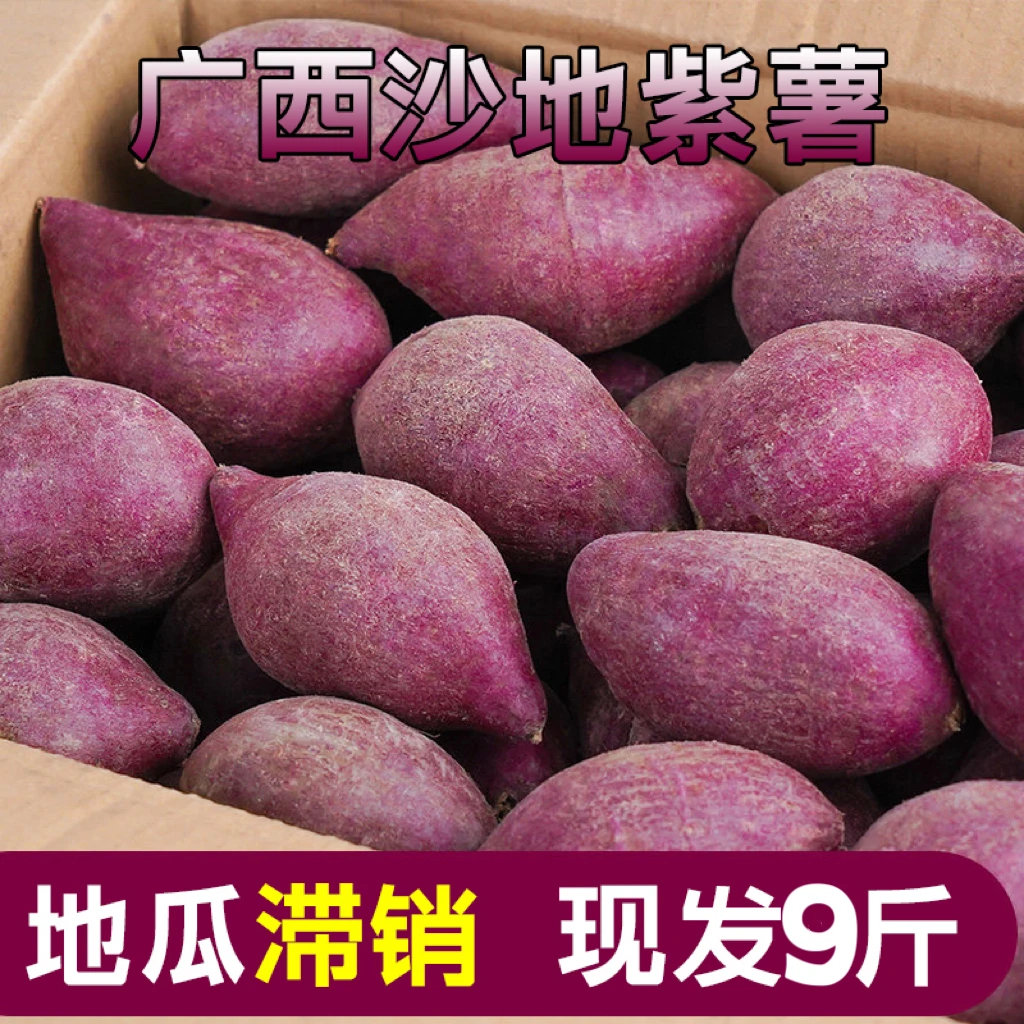 【浮力抢9斤】新鲜紫现挖1-9斤紫罗兰紫薯干板栗红薯紫心蜜薯地瓜