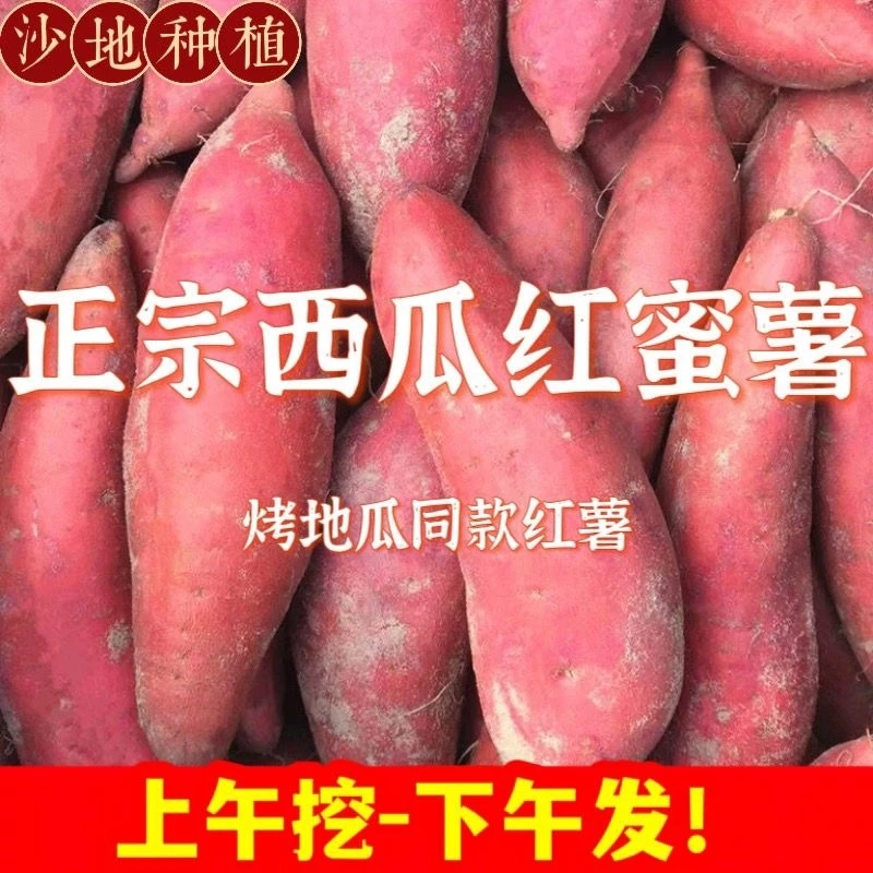 【抢购中】超甜沙地红薯1-9斤新鲜红黄蜜薯板栗薯地瓜番薯粗粮代餐