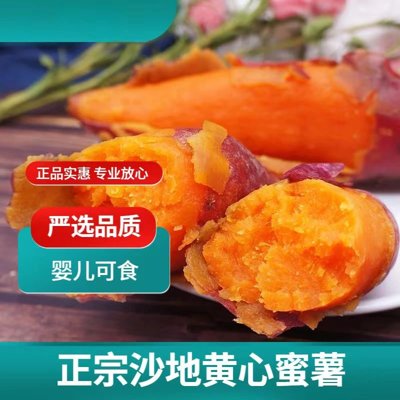 自种蜜薯1-9斤烟薯板栗薯蜜薯山芋沙地番薯软糯香甜辅食现挖现发.