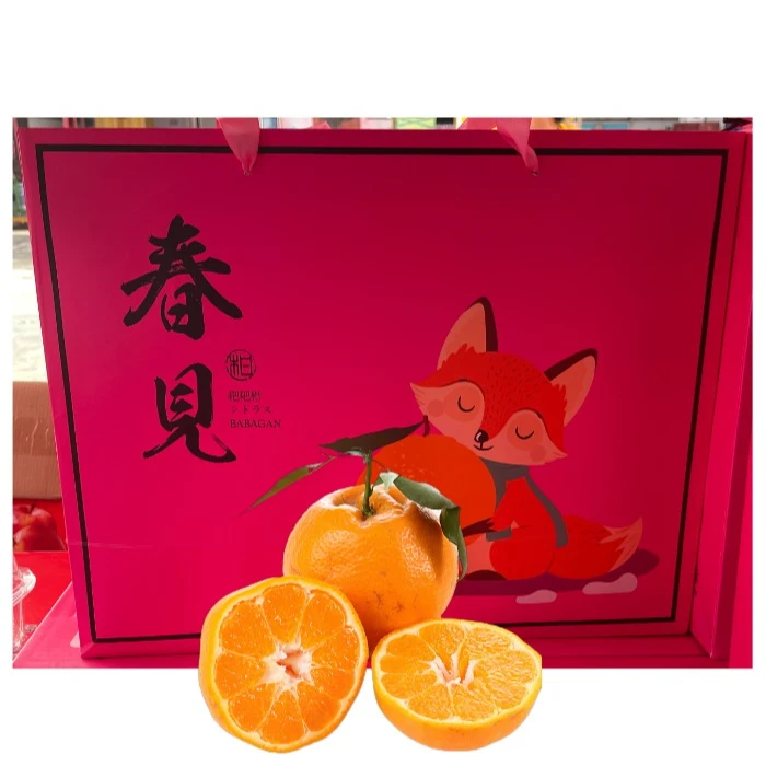 【周谷堆甄选自营 仅发合肥】金狐狸春见耙耙柑 甘甜多汁 礼盒装