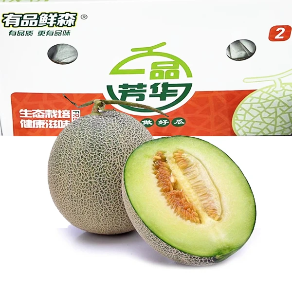 【周谷堆自营】一品芳华网纹瓜2个装净重4斤装绵密香甜包邮(14)