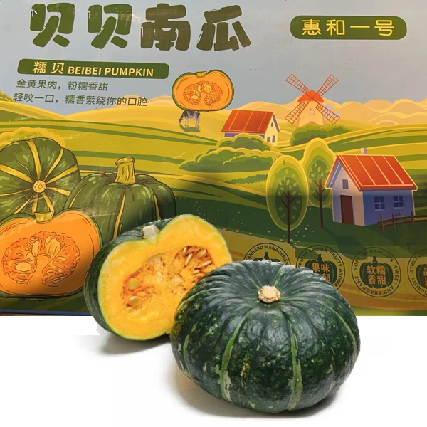 【周谷堆自营】惠和一号 贝贝南瓜6粒装 软糯香甜 新鲜 现货现发