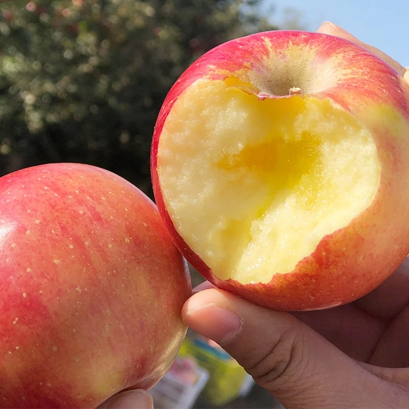 【周谷堆自营】阿克苏苹果净重12斤红旗坡产地直供咔嚓脆响（12）