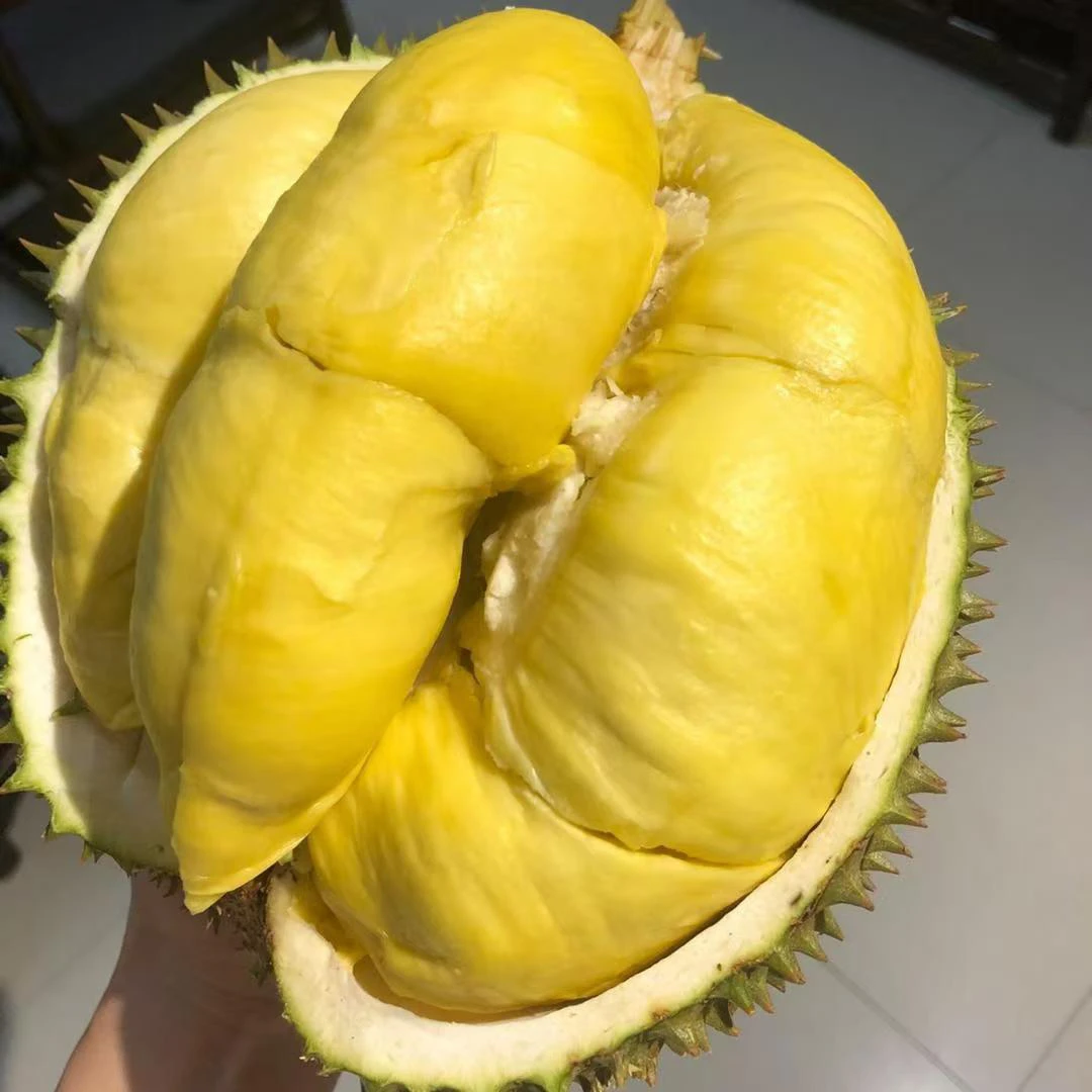 【温州同城外卖到家】特价榴莲不售后、不包出肉，介意勿拍