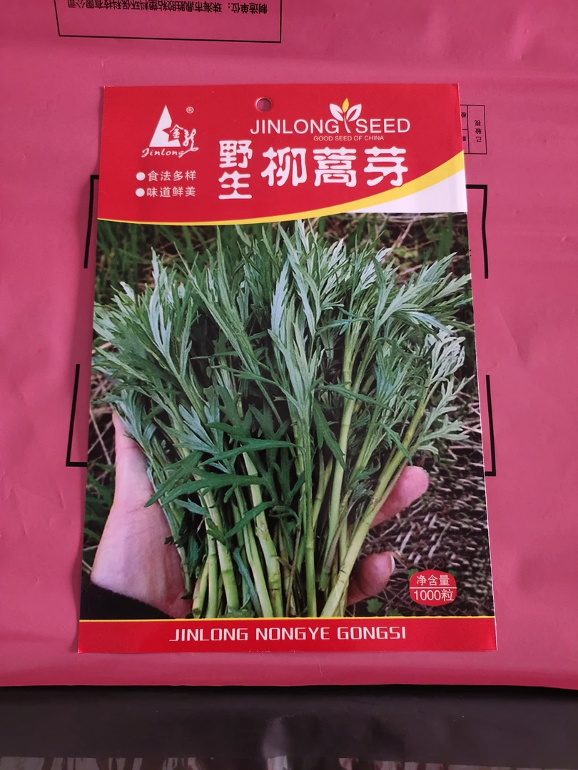 野生柳蒿芽野菜种子（新老包装随机发货）