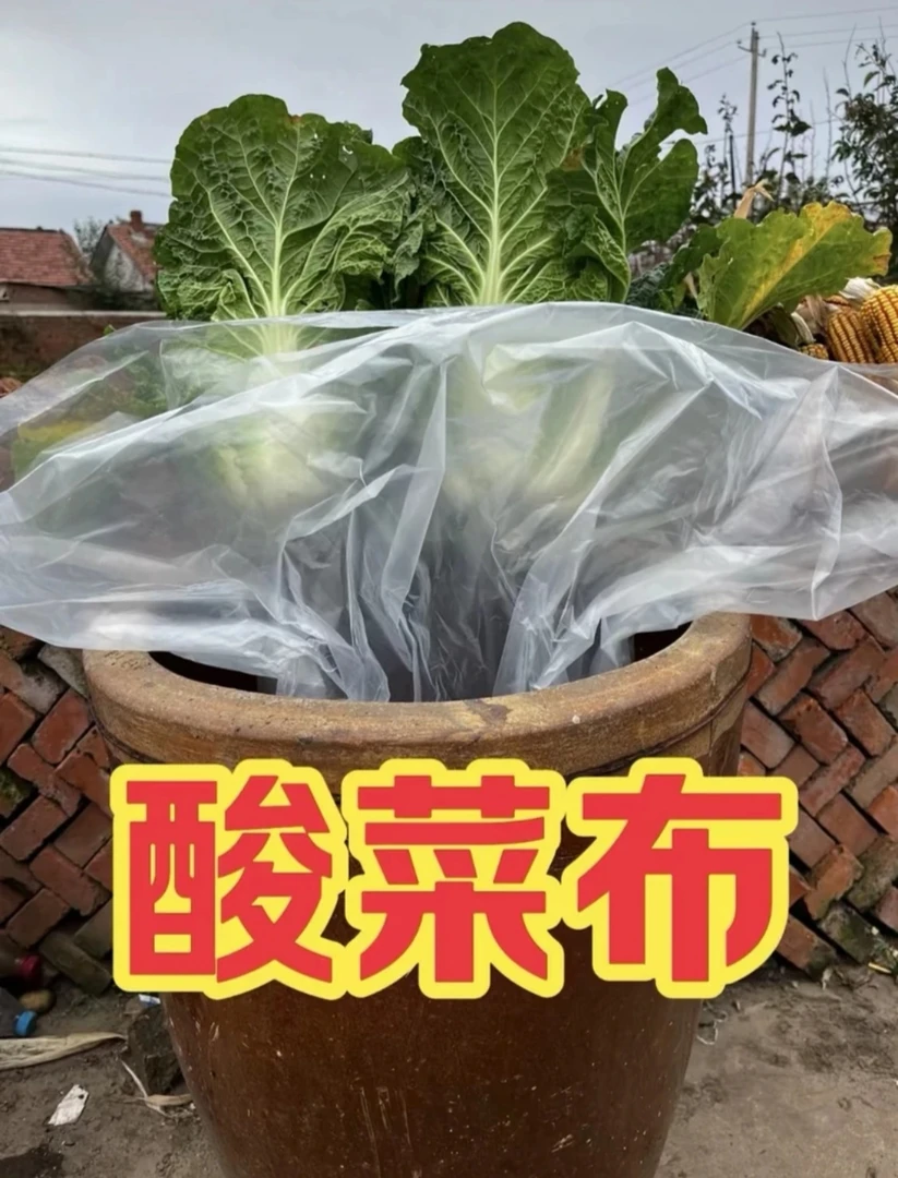 好用的加厚酸菜布