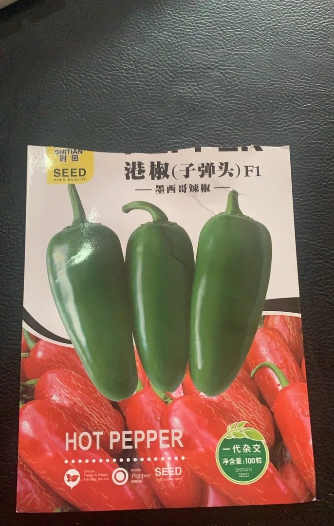 港椒（子弹头）辣椒种子