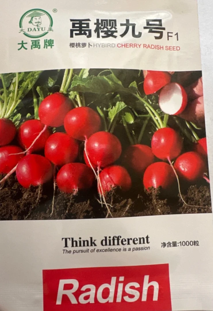 禹樱九号萝卜种子