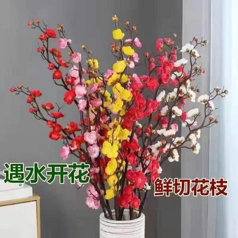 冬季水培植物干枝梅花红红火火遇水则开带梅花枝鲜花好养耐寒