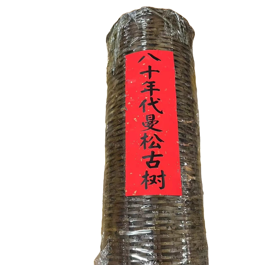 云南普洱茶八十年代曼松古茶生茶1500g拍五发六