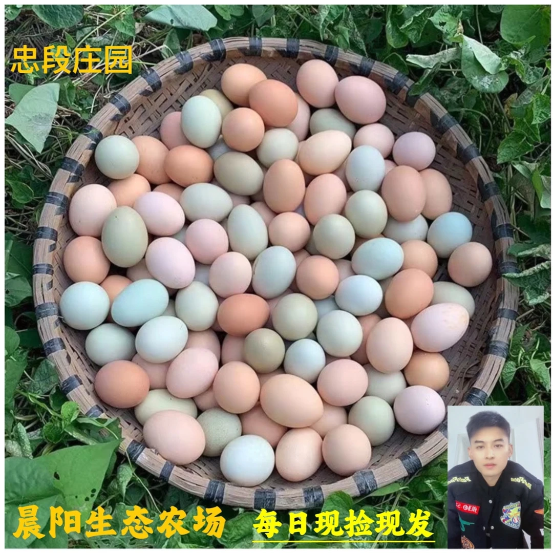 晨阳农场散养土鸡蛋年卡每月发一份40枚混装