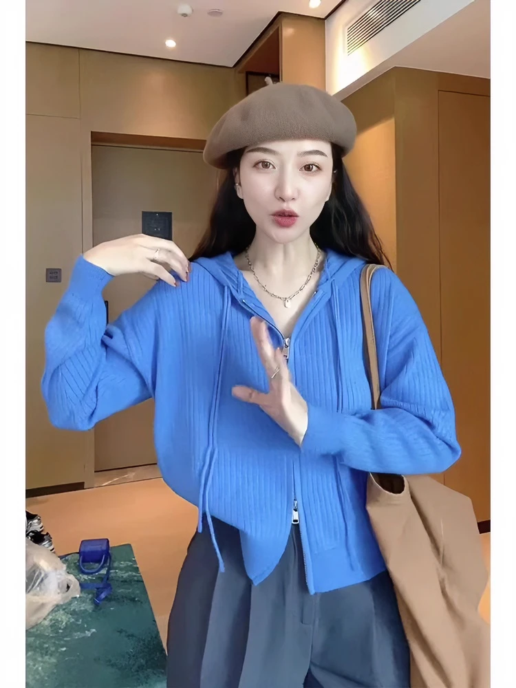 连帽毛衣女春秋新款休闲宽松内搭配大衣克莱因蓝针织开衫上衣