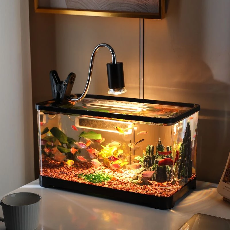 鱼缸造景小型水培草缸带盖孔雀鱼缸造景生态缸迷你鱼缸水族器材