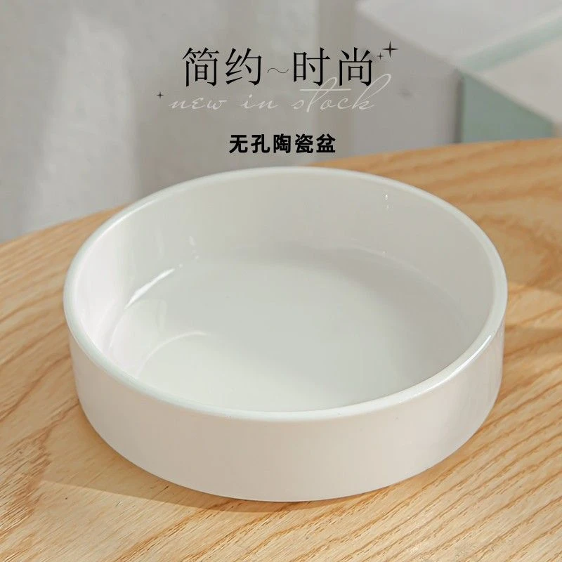 巴西木水培专用白色陶瓷盆器皿加厚花盆简约阳台桌面草头娃娃包邮