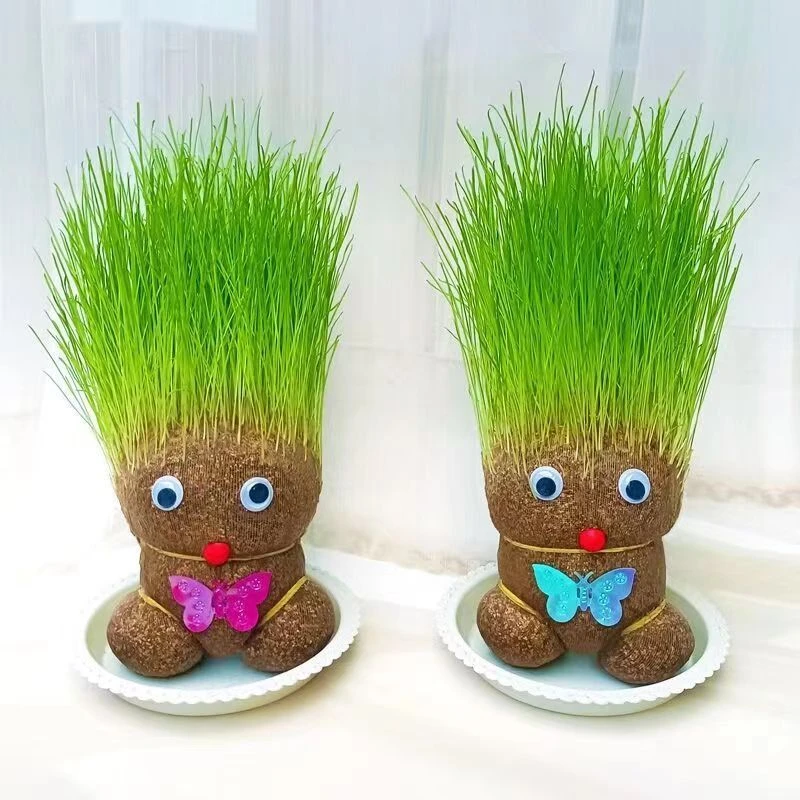草头娃娃冬天桌面阳台清新趣味绿色摆件好养绿植培养儿童手工趣味