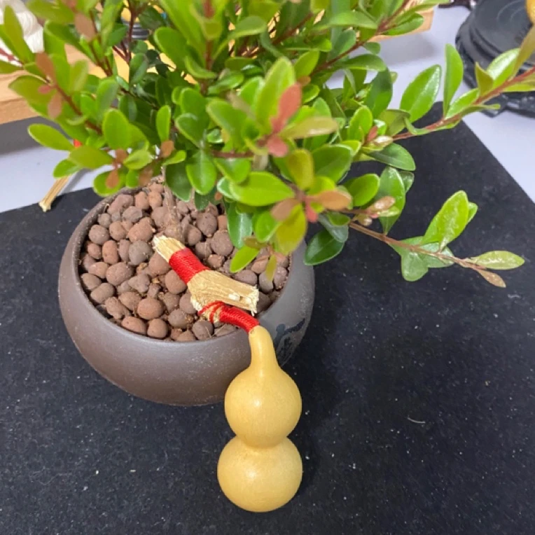 直播间葫芦拍品专属链接