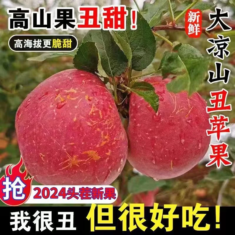 四川大凉山冰糖心丑富士苹果脆甜多汁新鲜现摘5斤/9斤