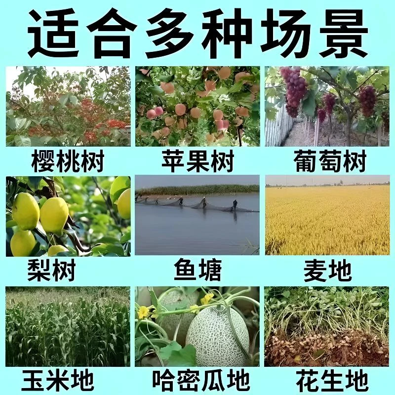 果树防鸟网尼龙网户外养鸡兔子养殖网鱼虾塘养殖防护机场专用水基
