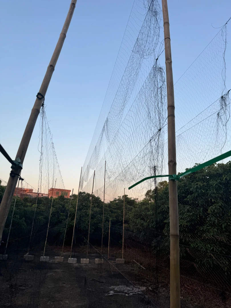 尼龙防鸟网水机网水丫网夜油网户外养鸡兔子鱼虾塘养殖防护机场专