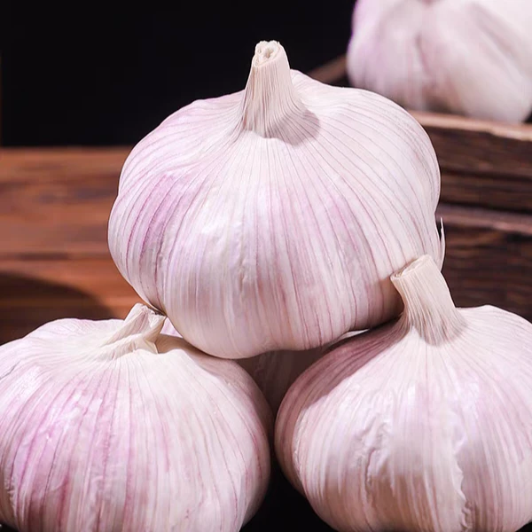 蒜头可吃可种新干蒜山东金乡大蒜5斤干大蒜头农家自产新干蒜
