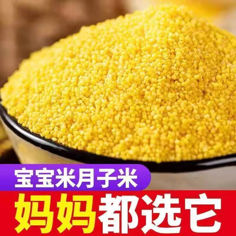 新米陕西米脂黄小米杂粮煮粥油糯小米养胃油小米批发