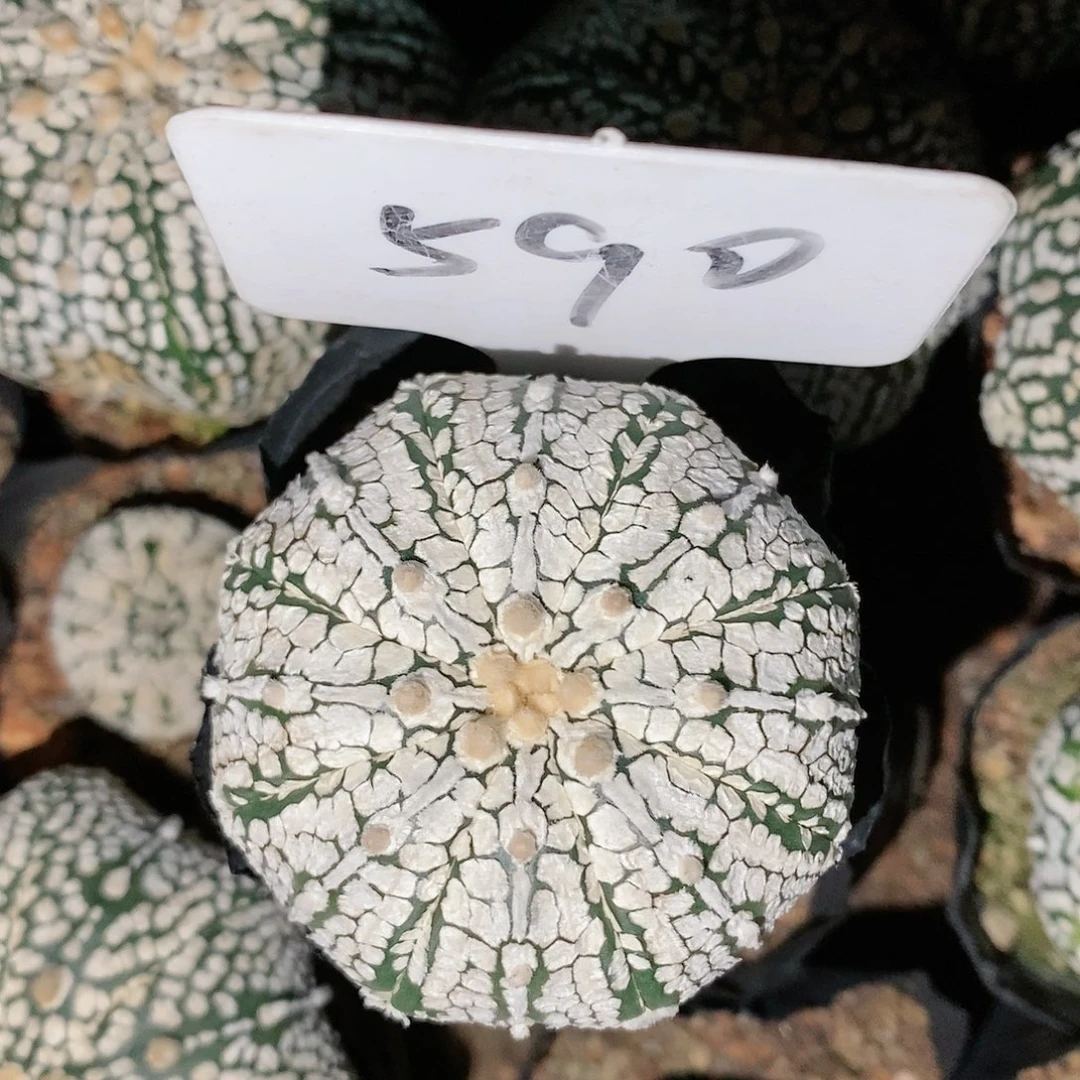 福利彩票销售服务