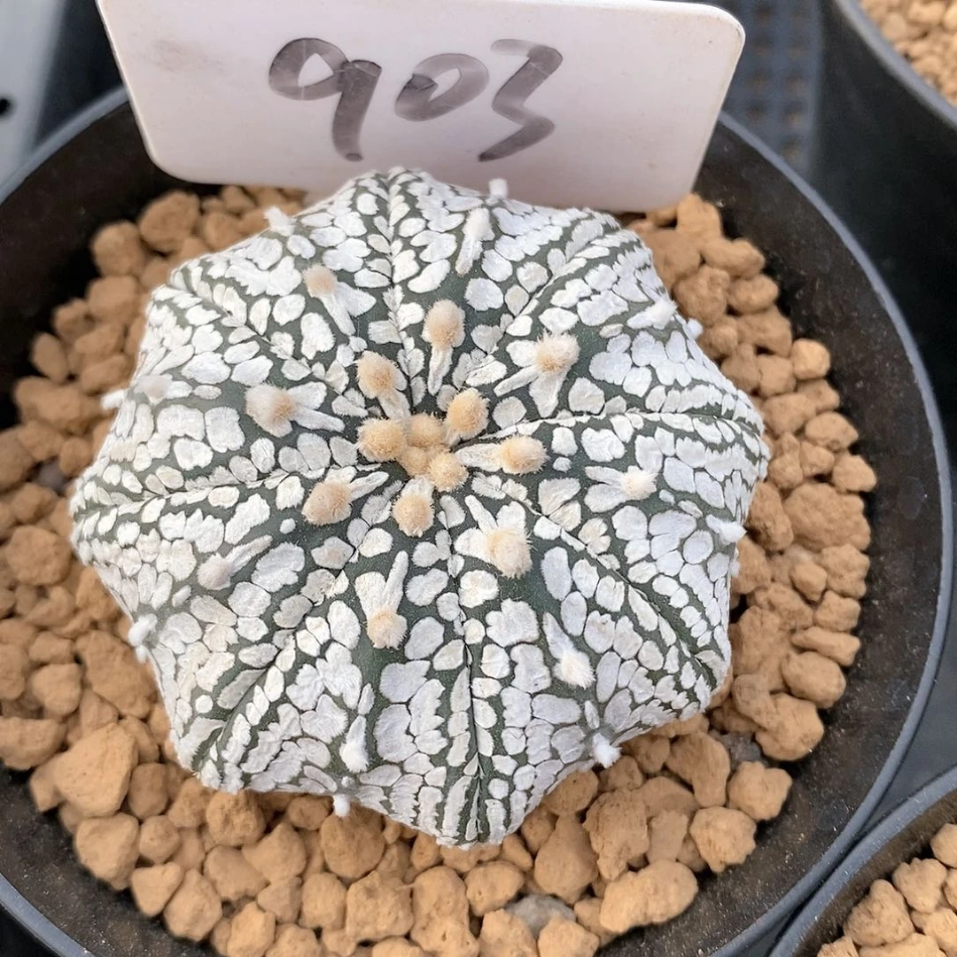 福利待遇也不错的呢