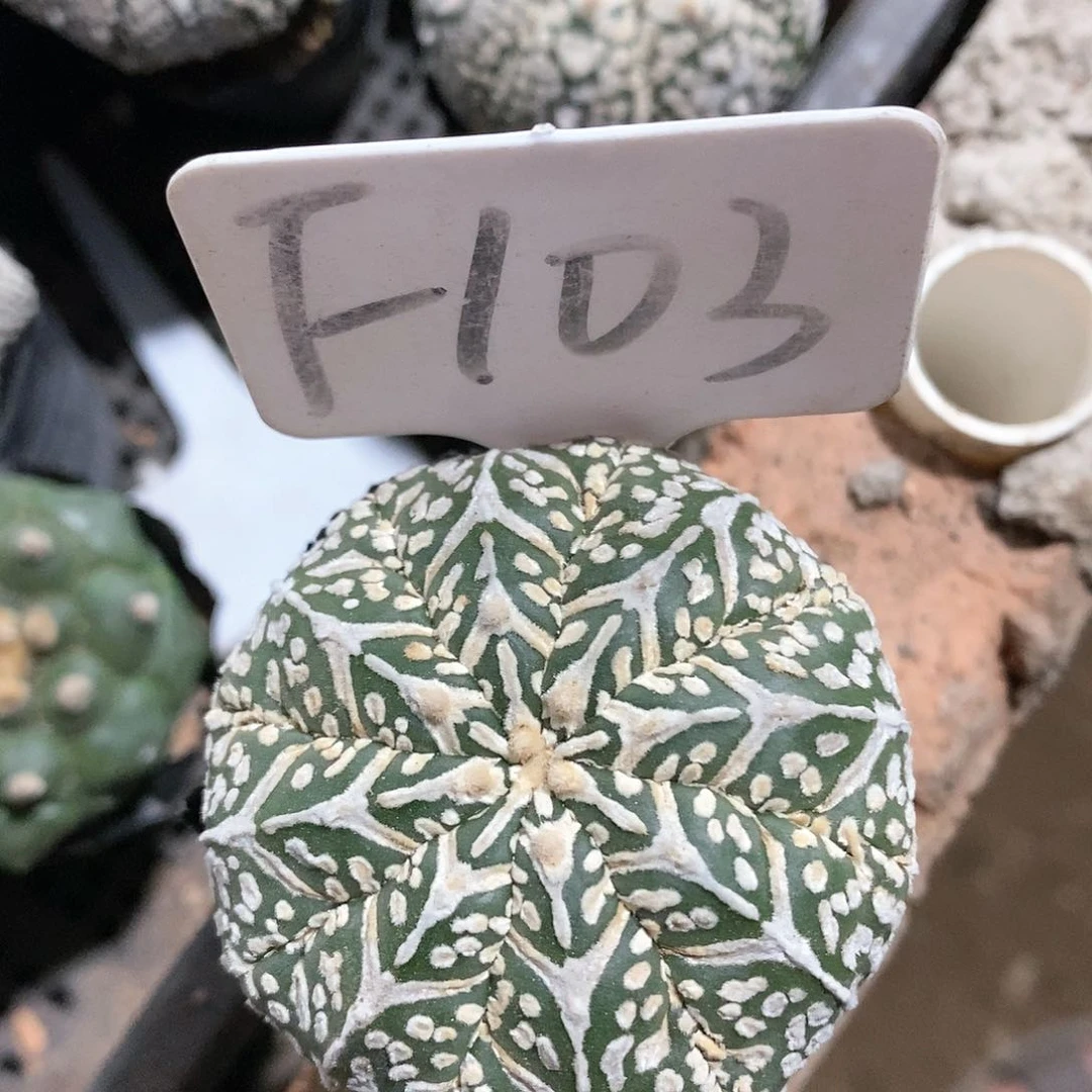 福利待遇也不错的呢