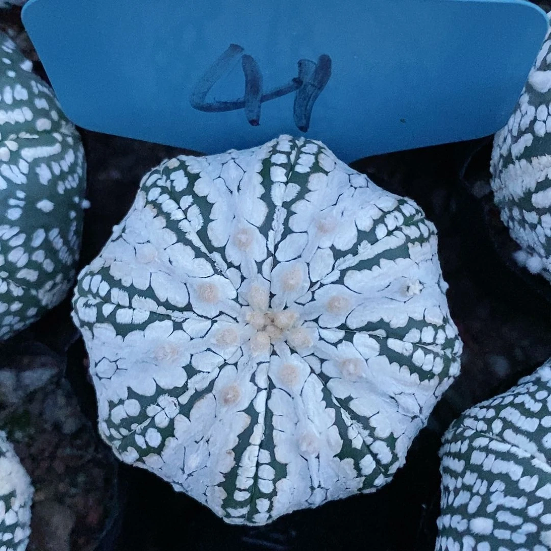 微瑕疵特价福利特价