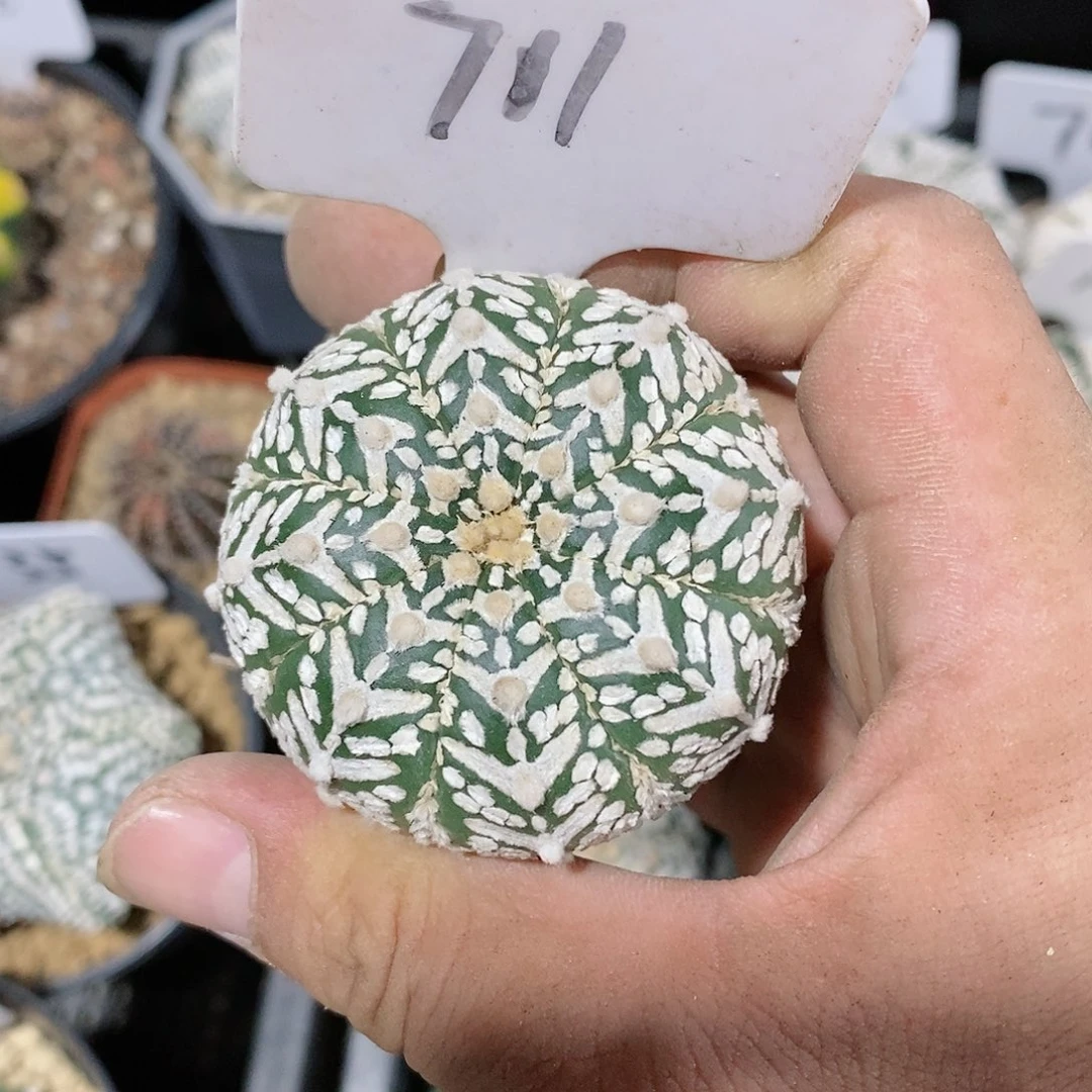 特价处理福利特价促销