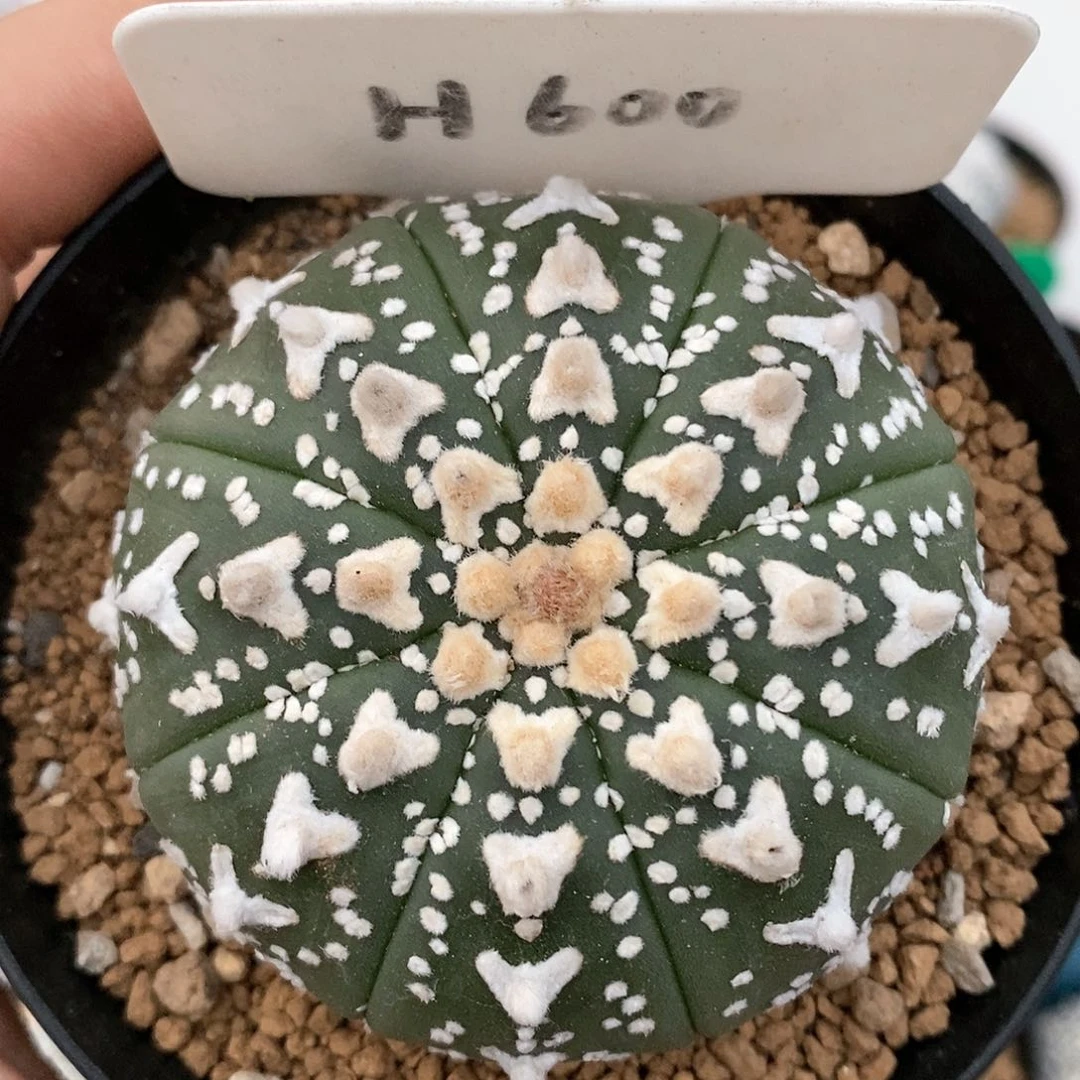 福利来袭打不特价捡漏了