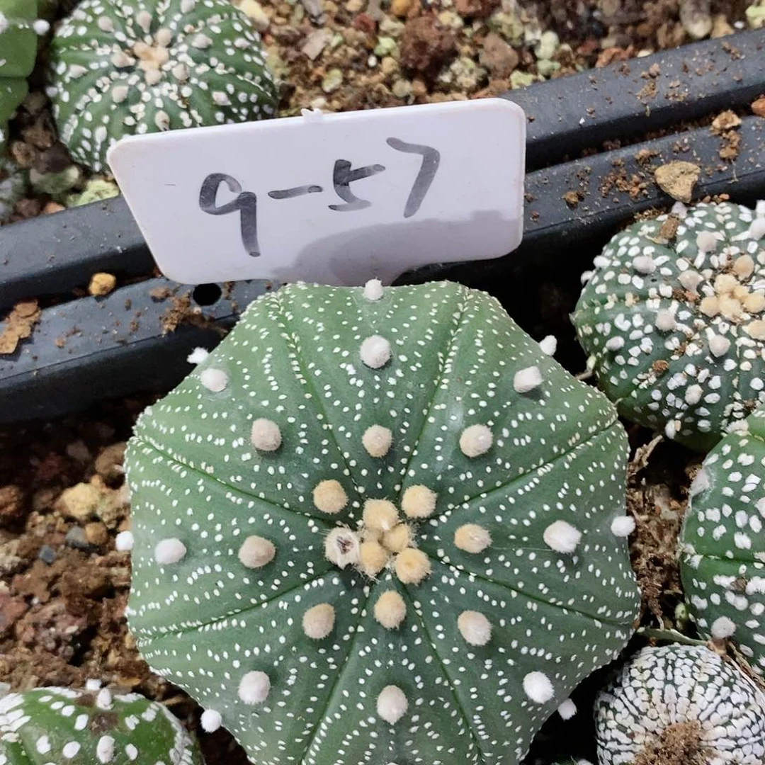明****?福利彩票销售平台为用户