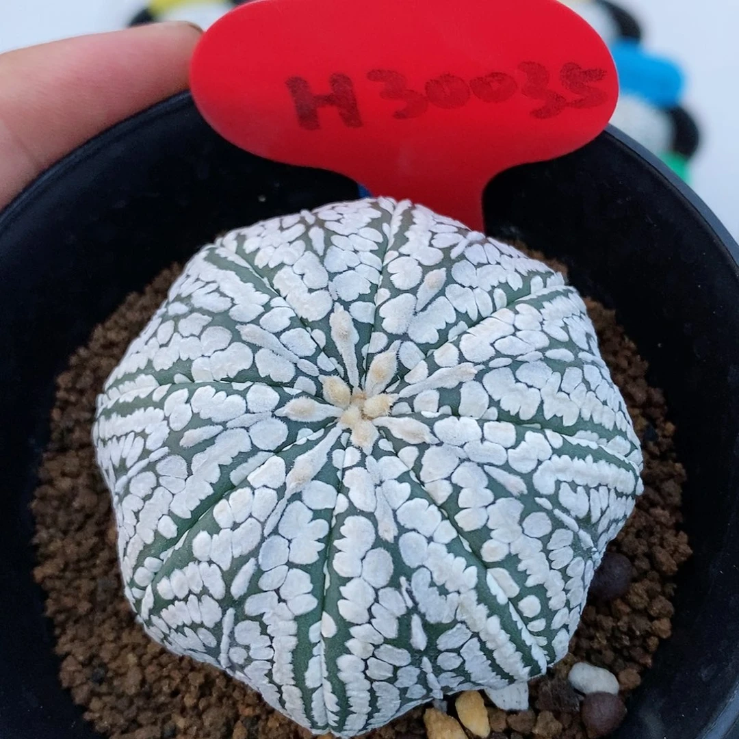 福利特价福利特价