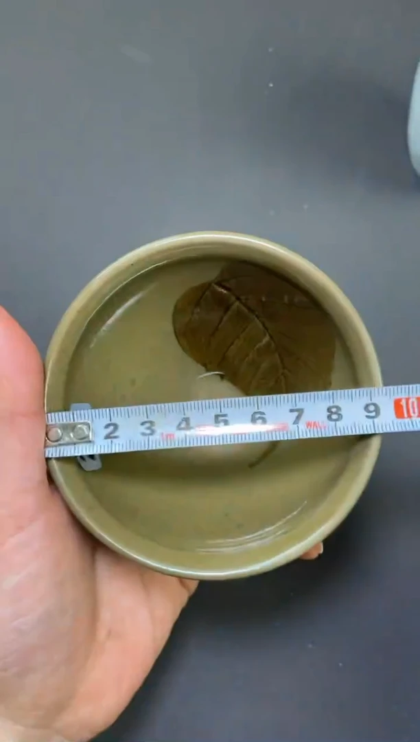 【闪购商品】木叶219
