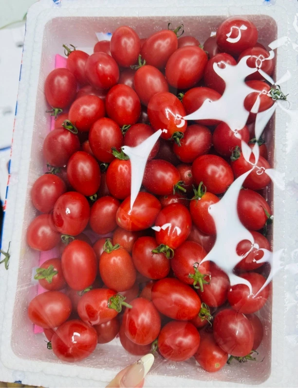 【海南小千嬉】一箱装