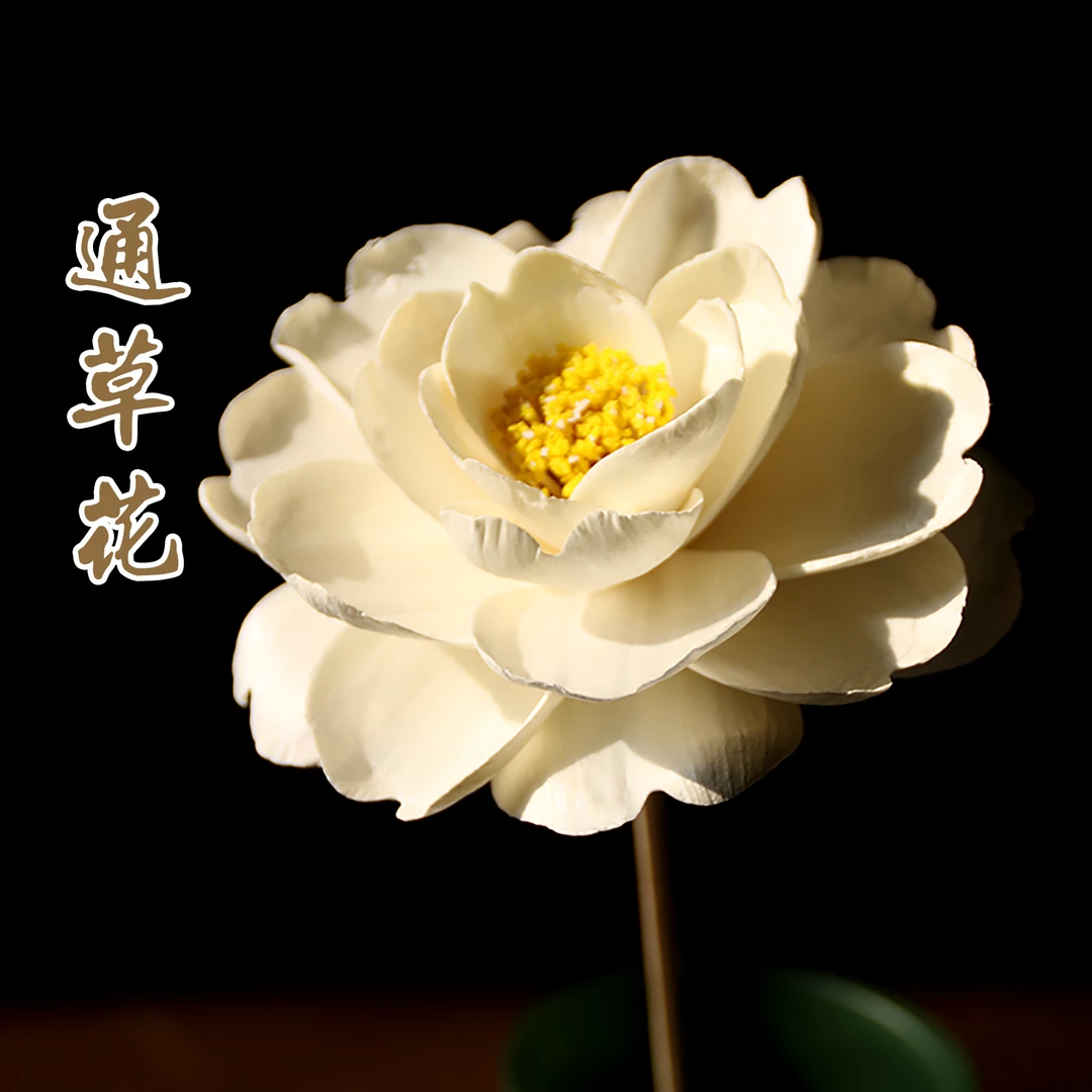 园馨手工大朵通草花家用香薰diy干花插花白牡丹诧寂风装饰样板间