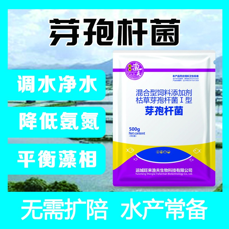 【芽孢杆菌】水产养殖调水净水降氨氮亚盐抑制蓝藻分解残饵有机质