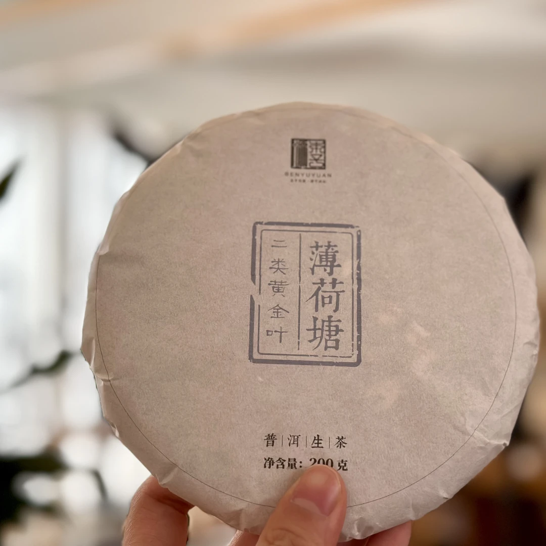2021年薄荷塘二类黄金叶200克普洱生茶